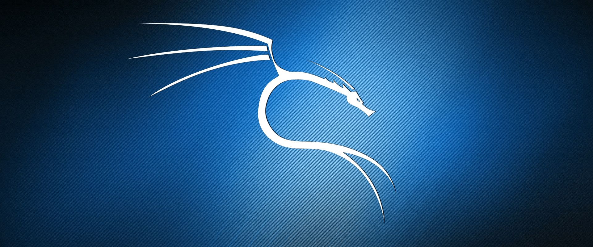 HOWTO: Adding persistence to a live Kali Linux USB drive on a Mac